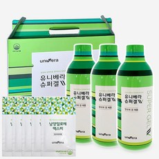 유니베라아레지오