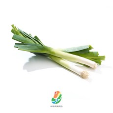 [깐데이] 당일손질 국내산 깐대파(1/2절단파) 1kg 업소용 대용량 손질 대파, 1개