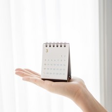2024 손바닥 달력 미니미 바이풀디자인 Tiny 자동차 캘린더 2개 SET