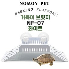 노모이펫 거북이 거북섬 거북이 플랫폼 거북이다리, 1개