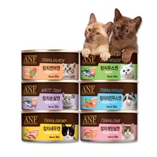 ANF 고양이캔 24개 1박스 콤보 간식캔, 24개(1box) ANF 캣 참치무스캔 95g