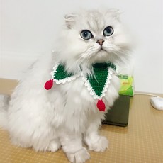 강아지모자손뜨개만들기