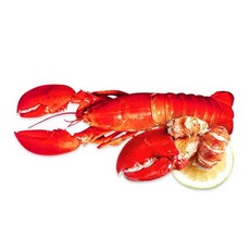 자이언트킹nb랍스터