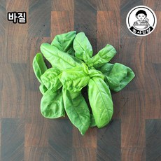 생바질100g