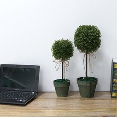 미니 홈가드닝 원형 토리어리 화분 장식 자취 책상위, 소, 수량