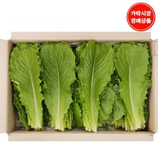 로메인2kg