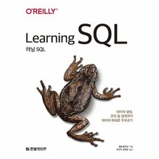 러닝sql