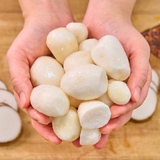 농가살리기 당일작업 전남 곡성 깐토란, 1박스, 1kg
