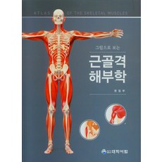 그림으로 보는 근골격 해부학, 대학서림, 9788969402462, 편집부 저