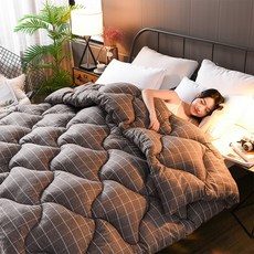 솜이불 10근이불 이불솜 두꺼운 보온 싱글 학생기숙사 더블 에어컨 봄가을 사계절 통용 전체면이불, C11-심플 체크무늬