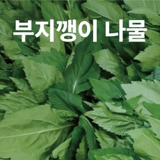 부지깽이