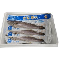 반건조 민어 5마리 선물 세트, 1개
