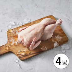 연산오골계