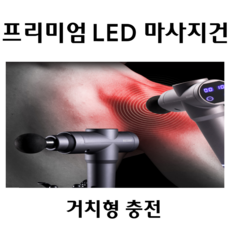 리젠트마사지건