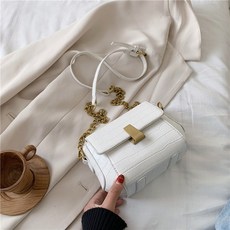 셀린느미니백