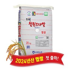 [당일도정] [동철원농협 직접운영] 2024년산 두루웰 철원오대 햅쌀, 20kg, 1개, 백미 20kg - 게이지