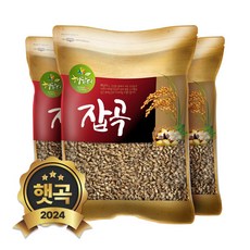현대농산 국산 흑보리 1.5kg (500gx3봉) 검정찰보리, 3개, 500g