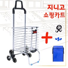 지니고