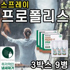 플라보덴티