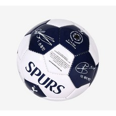 손흥수민사집행법