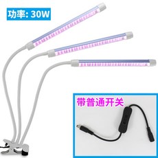 일반led조명으로식물키우기