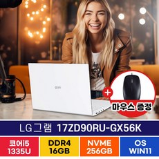 LG 2023 그램17 17ZD90RU-GX56K 노트북, WIN11 Home, 16GB, 256GB, 코어i5, 화이트