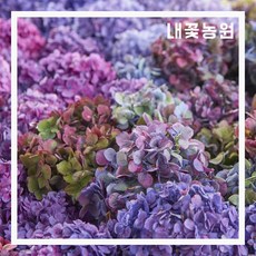 afa0db8423247bbf3256f36253b034f6bfd3085b86a019a049ac6327e7f3.jpg