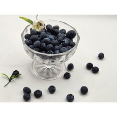 [최상급] 프리미엄 생 블루베리 항공직송, 2박스, 125g