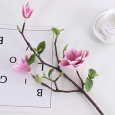 브로콜리1송이