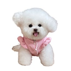 [판다샵] 강아지 가을겨울 날개소매 아우터 하네스 원피스 올인원 반려동물 방한 겨울옷_pds2051, 핑크, 1개