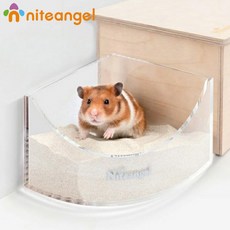 나이트엔젤데크