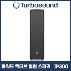 [공식인증점] 파워드 액티브 컬럼 스피커 터보사운드 iP300 공연용 행사용 무대용 PA 시스템