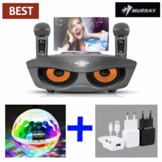 블루투스듀얼마이크