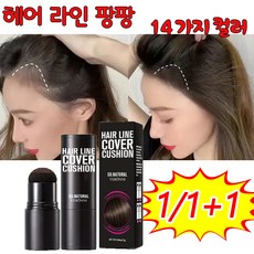 1/1+1 헤어 팡팡 헤어라인 커버 쿠션 스틱 14가지 색상, 1개, 3# 블랙