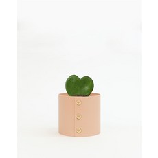 팟커버 TOP01