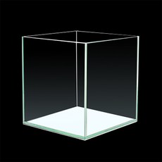 아쿠아큐브피쉬