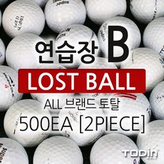 투딘 연습장 로스트볼 B급 2피스 500EA 골프용품, 투딘 연습장 B급 로스트볼 500EA 2피스