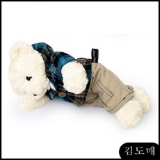 KDM 신체크후드 테디베어 만들기 곰인형선물박스 테디베어남자곰(중형화이트) 대형 봉제인형