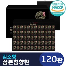 삼본침향환