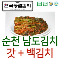 입점특가 한국농협김치 순천 남도 갓김치 +백김치 HACCP 국내산, 1.갓김치3kg+백김치1kg