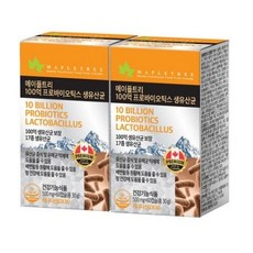 메이플트리보라지유