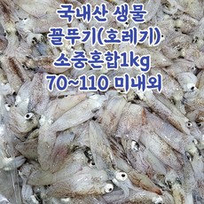 산지직송 서해안 급냉 꼴뚜기 호래기 횟감용 500g 1kg