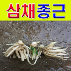 bb35d770b29c1c0e00b2ba8a601a47283b5b1c0e570be015c7fb434dc34a.png