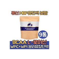 류신 MBP 유단백추출물 뼈엔 분말 단백질 9통 루신 엠비피 BCAA L로이신 보충제 분리유청단백 농축유청단백