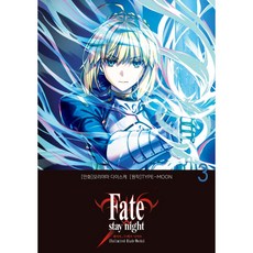 (TYPE-MOON 원저) 페이트 스테이 나이트 [언리미티드 블레이드 워크스] 3