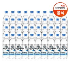 광동 아이스웨일 탄산수 500ml x40병 /플레인, 없음