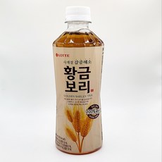 칠성 갈증해소 황금보리 차음료, 48개, 500ml