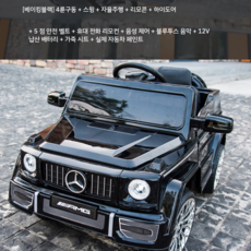 그린전기자동차기사책추천