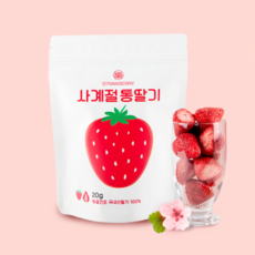 락희팜 사계절 통딸기