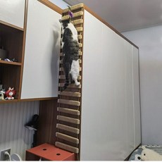 벽걸이 활동 고양이 장난감 나무 사이잘 스크래처 등산가 가구 다리 로프 계단 사다리 새끼 포스트 벽, 03 100cm Length ladder, 1개